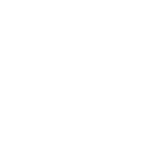 ШАМПАНСКИЙ ДОМ BOLLINGER (БОЛЛИНДЖЕР)